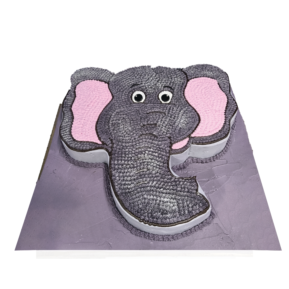 Sculpted Wonder Cake No.2