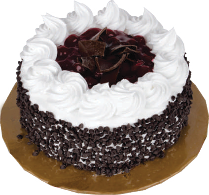 Berry Elegance Cake No.4