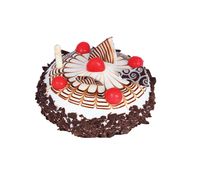 Floral Fantasy Cake No.6